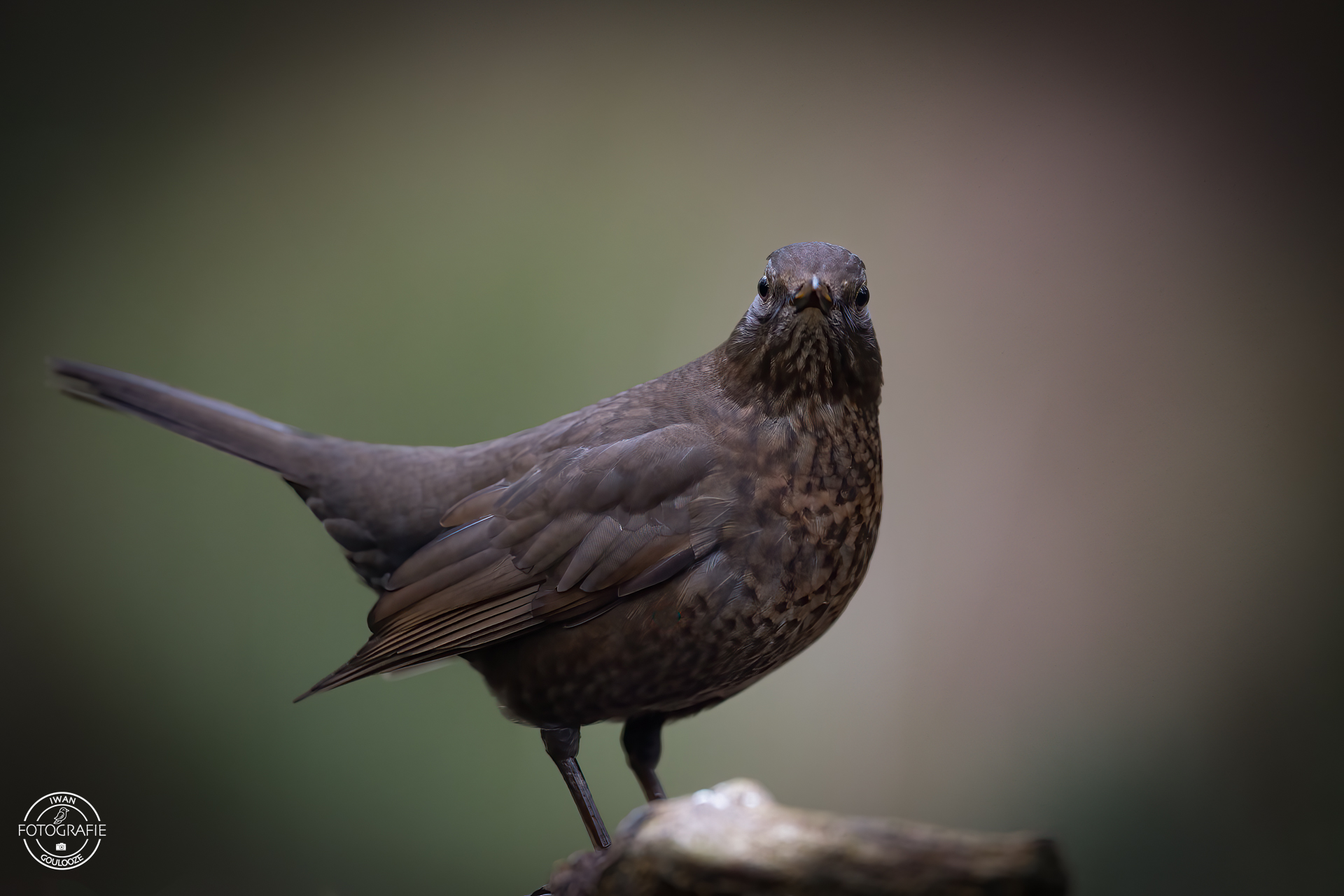 23 oktober 2022 162816 1R2A1876 bewerkt bewerkt